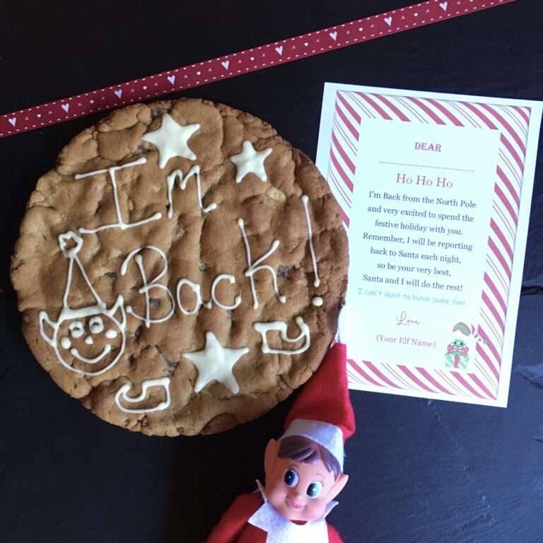 Elf on the shelf im back giant cookie for christmas gifts