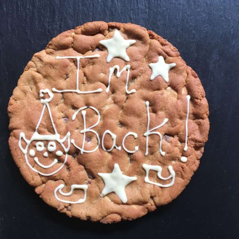 Elf on the shelf im back giant cookie for christmas gifts