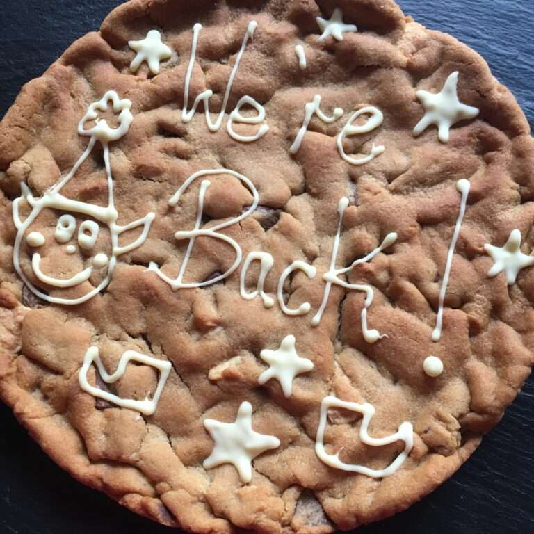 Elf on the shelf were back giant cookie for christmas gifts