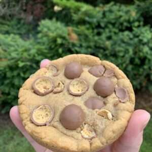 IMG 5821 scaled | Cookie Malteaser 4"